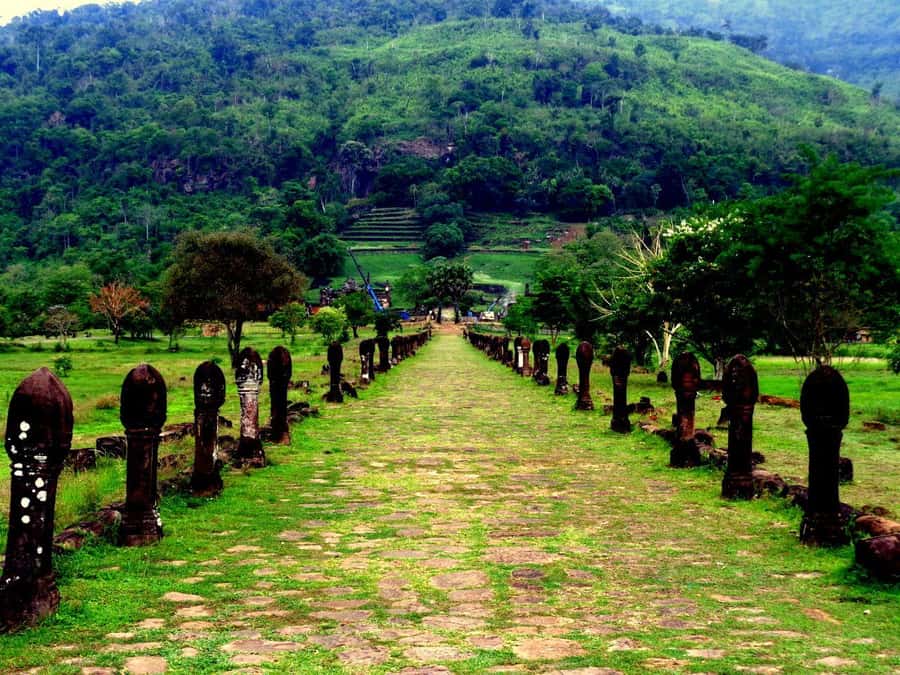 Pakse: Wat Phu, Nasinda Ruins, and Dao Huan Market Tour - Transport, Timing, and Overall Value