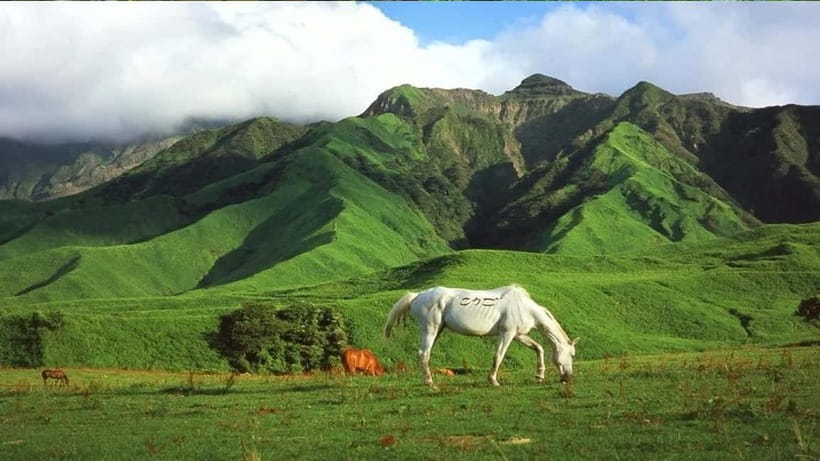 Fukuoka: Mt. Aso Volcano & Kurokawa Onsen Scenic Day Tour - FAQ  
