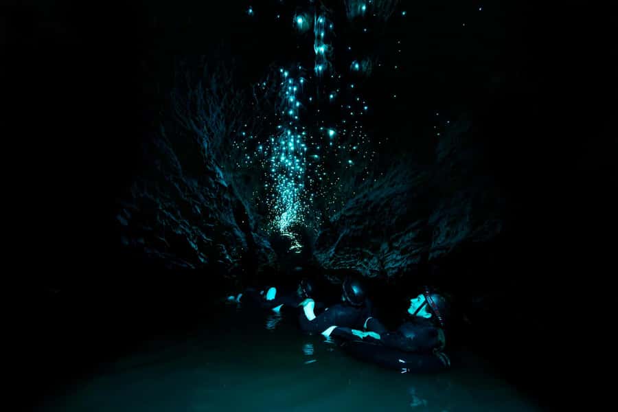 The Waitomo Experience : Okohua Glowworm Cave Tour - The Value of This Experience