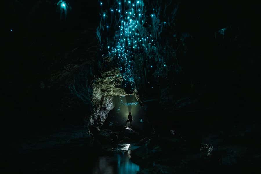 The Waitomo Experience : Okohua Glowworm Cave Tour - FAQ