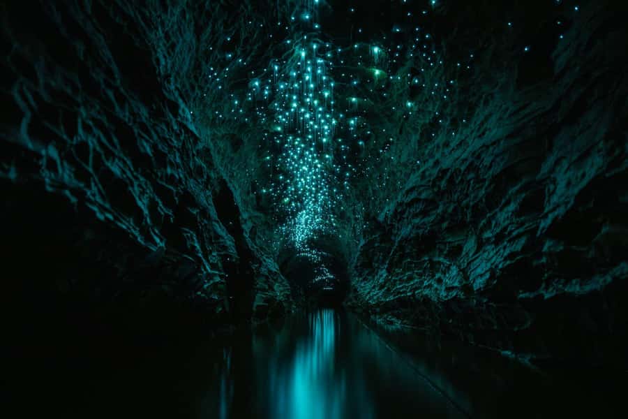 The Waitomo Experience : Okohua Glowworm Cave Tour - Final Thoughts