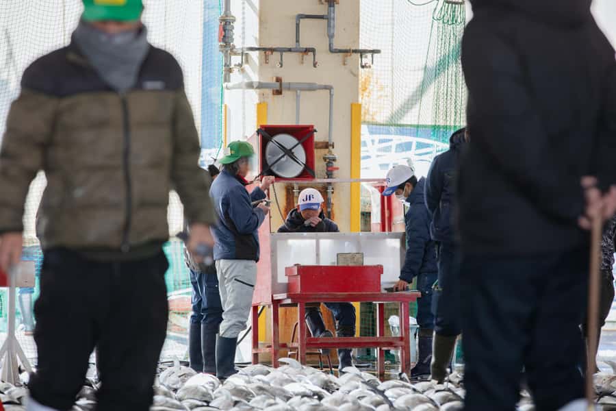 Tuna Auction Market Tour with Local Guide in Nachi-Katsuura - Who Would Love This Experience?