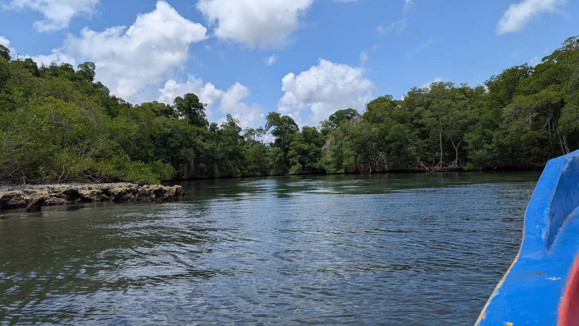 Mangove boat tour - Rio San Juan Guided 4-6 hour tour - Detailed Breakdown of the Itinerary