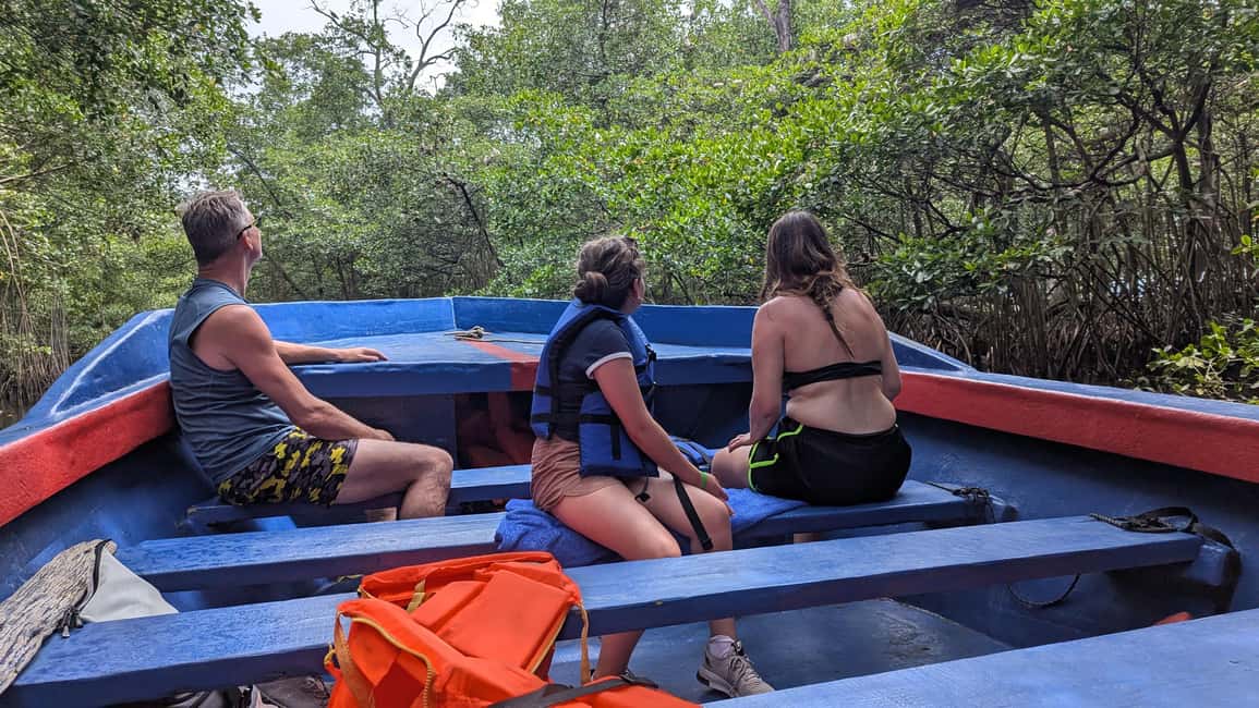 Mangove boat tour - Rio San Juan Guided 4-6 hour tour - Final Thoughts