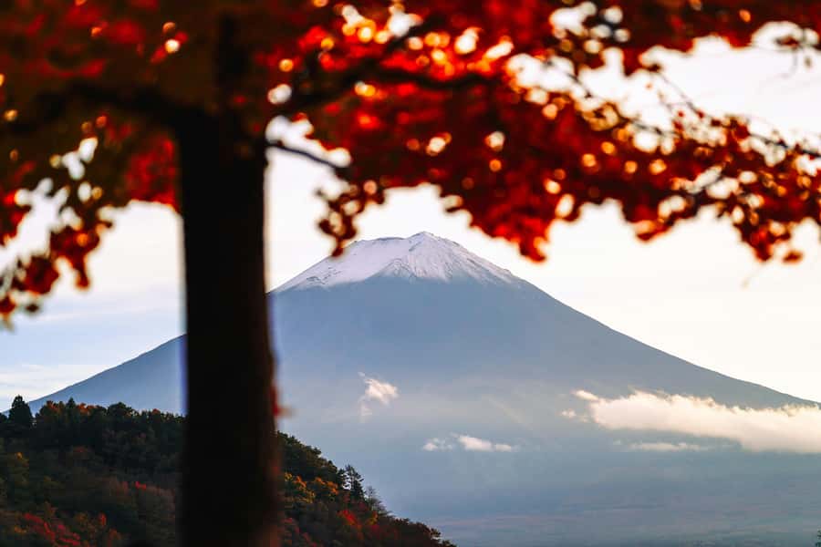 Crowd-Free Hidden Spots - Mt.Fuji Private Luxurious Car Tour - The Practicalities: What Makes This Tour Stand Out?