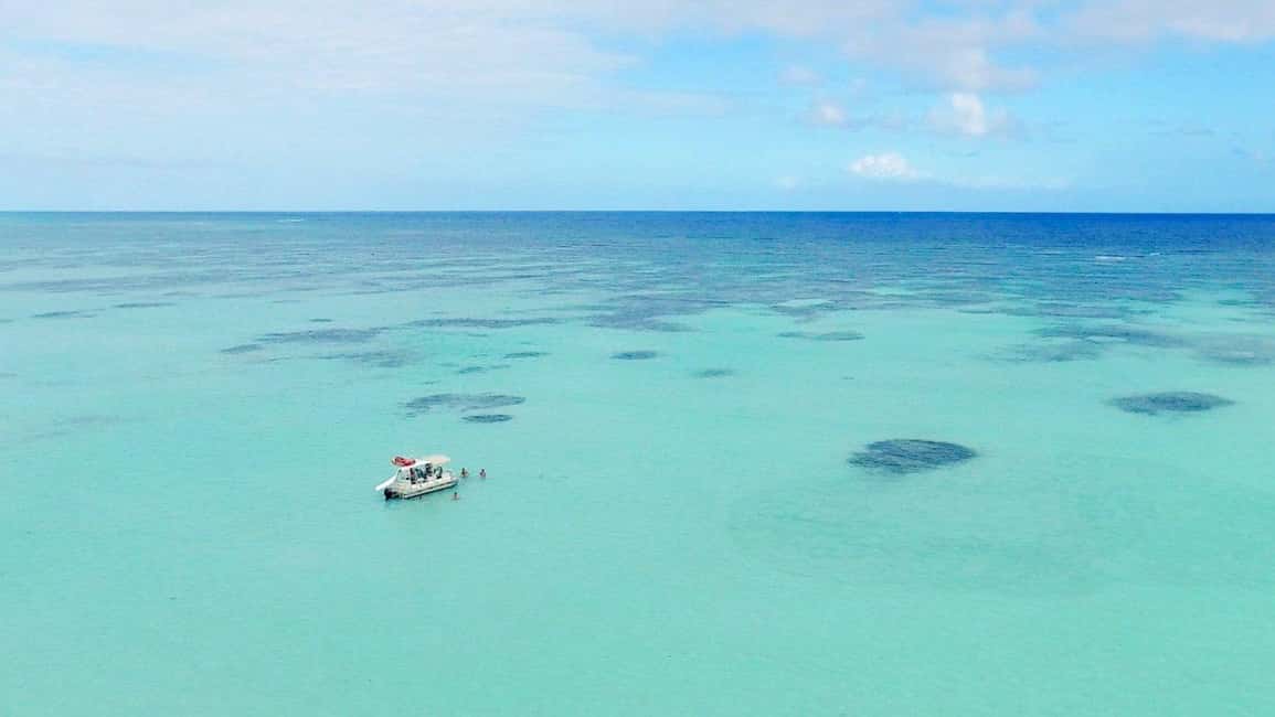 Wild On Punta Cana: Cruise with Snorkeling Half Day - Who Should Consider This Tour