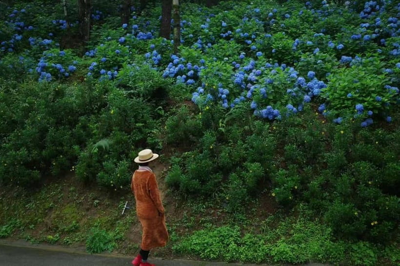 Cangshan Mountain: Mindful Hiking and Organic Homemade Food - Good To Know