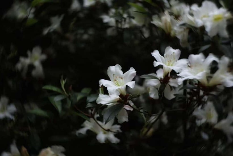 Cangshan Mountain: Mindful Hiking and Organic Homemade Food - Exploring the Cangshan Mountain Experience