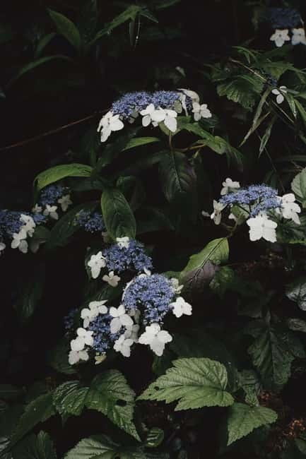 Cangshan Mountain: Mindful Hiking and Organic Homemade Food - The Sum Up