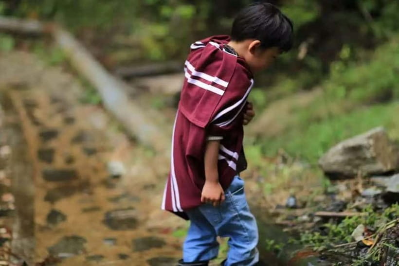 Cangshan Mountain: Mindful Hiking and Organic Homemade Food - Frequently Asked Questions