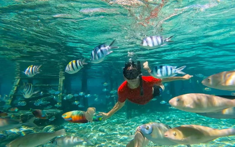 Cebu: Private Mactan Island Hopping Tour with Lunch - Good To Know