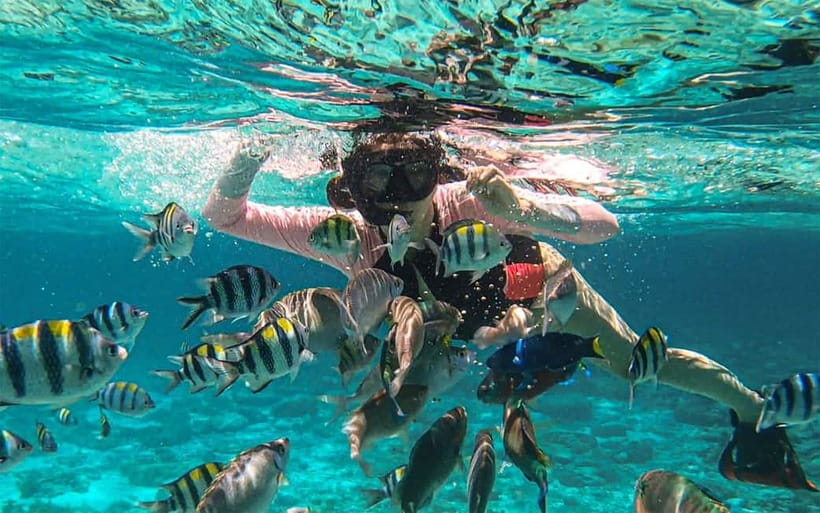 Cebu: Private Mactan Island Hopping Tour with Lunch - The Food and Beverage Experience