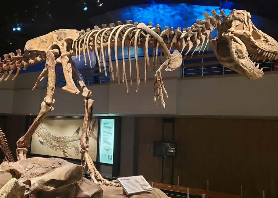Badlands Tour: Drumheller with Museum, Hoodoos & Coal Mine - Authentic Experiences and Honest Insights