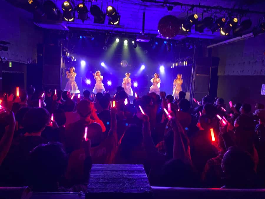 Tokyo Idol Live Experience with Local English Guide - A Few Considerations