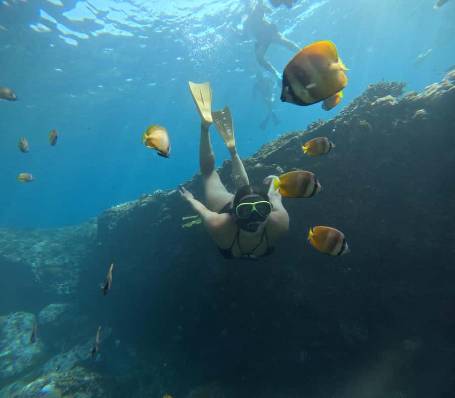 Lembongan: Manta Bay, Turtle Bay, & Gamat Bay Snorkeling - What to Expect & Practical Details