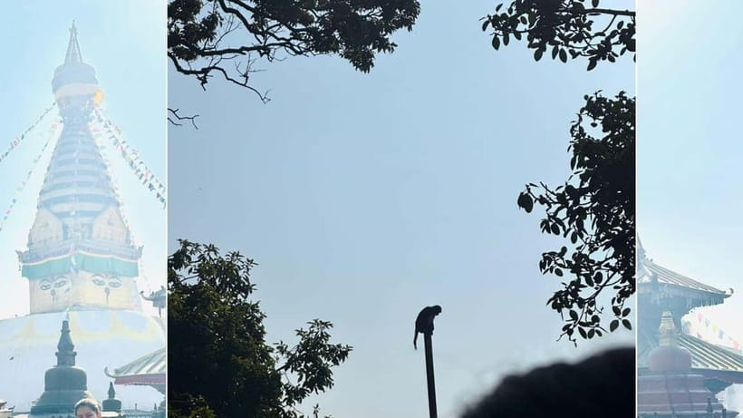 Kathmandu: Monkey Temple Guided Monkey Watching Tour - Authentic Experiences and Traveler Insights