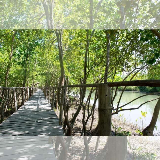 Aklan Vibrant Kalibo Tour (Half Day) - Key Points