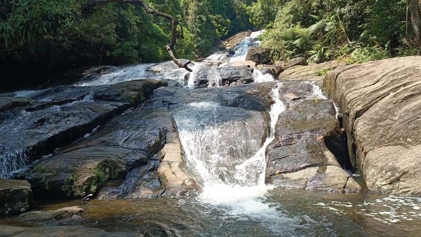 Sinharaja Rainforest: Tour with 5 Waterfalls Trek - Exploring the Route: What to Expect