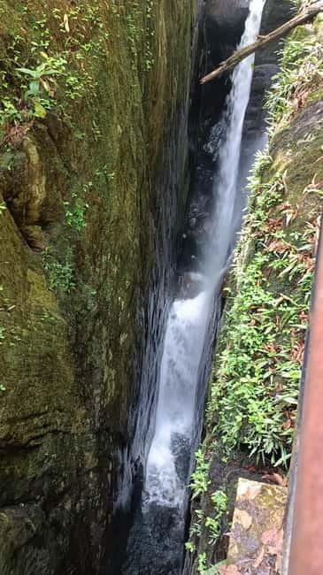 Sinharaja Rainforest: Tour with 5 Waterfalls Trek - Who Should Consider This Tour?