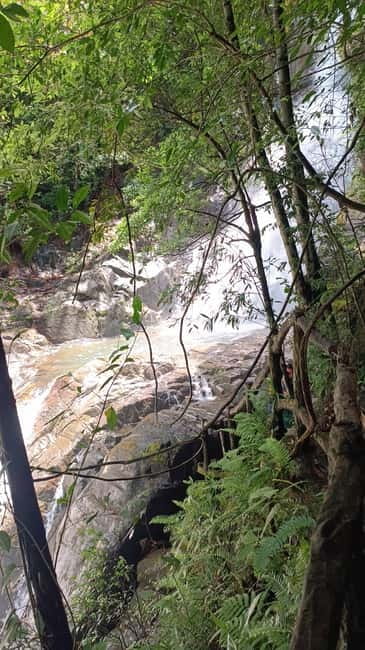 Sinharaja Rainforest: Tour with 5 Waterfalls Trek - The Value of This Tour