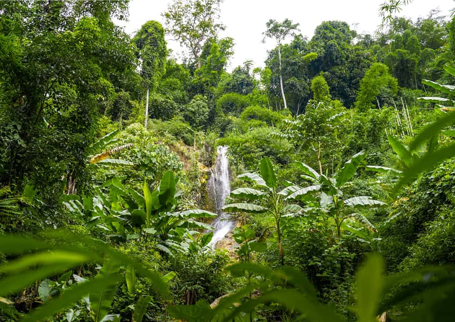 1 Day: Trekking Trip with Lao, Hmong, Khu Village & Kayaking - Transportation, Timing, and Group Size