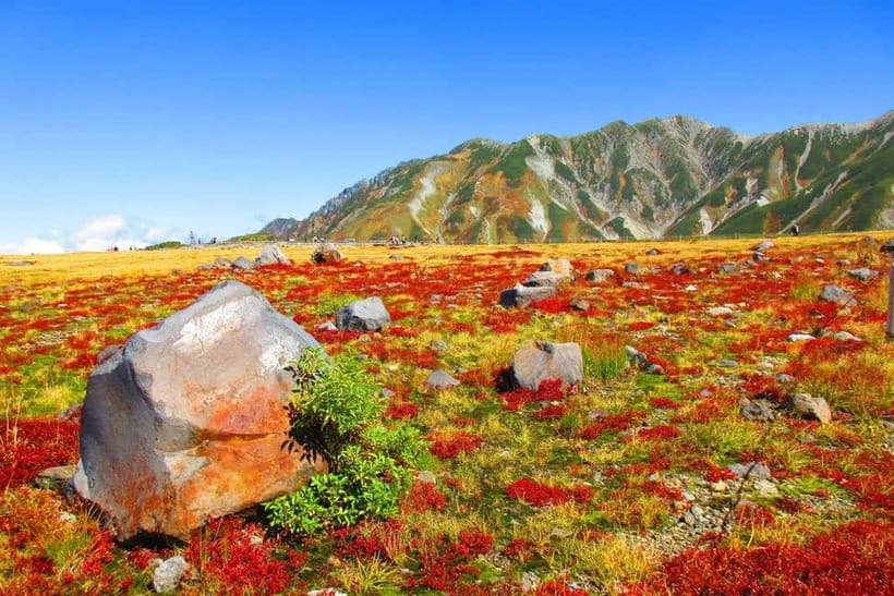 Nagano: Worlds Edge Tateyama Kurobe Alpine Route Tour - Good To Know