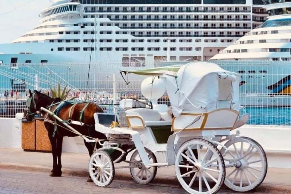 Cozumel: Electric Carriage Tour - A Closer Look at the Cozumel Electric Carriage Tour