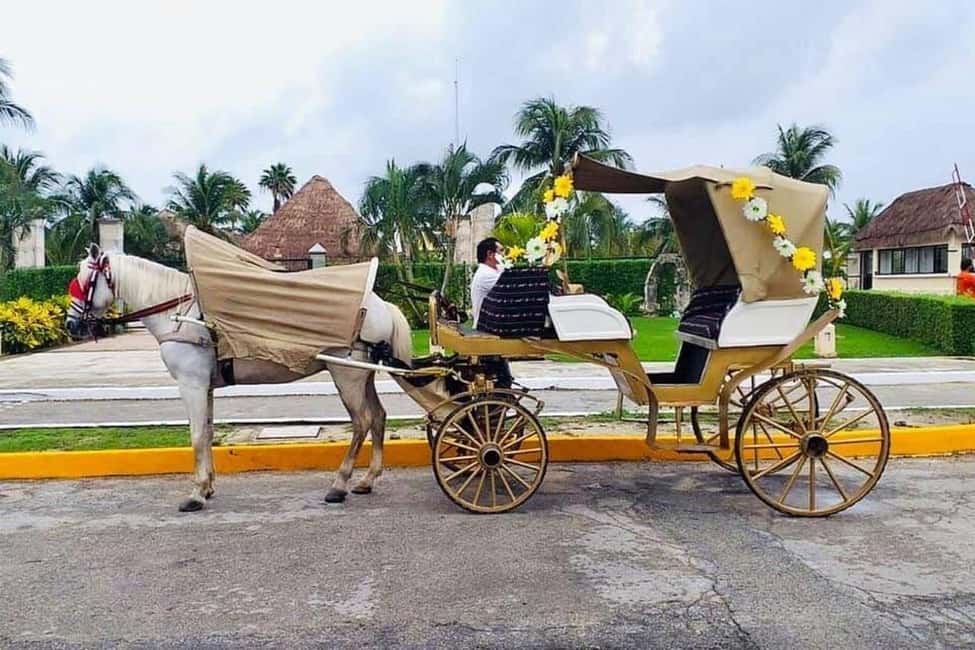 Cozumel: Electric Carriage Tour - Final Thoughts
