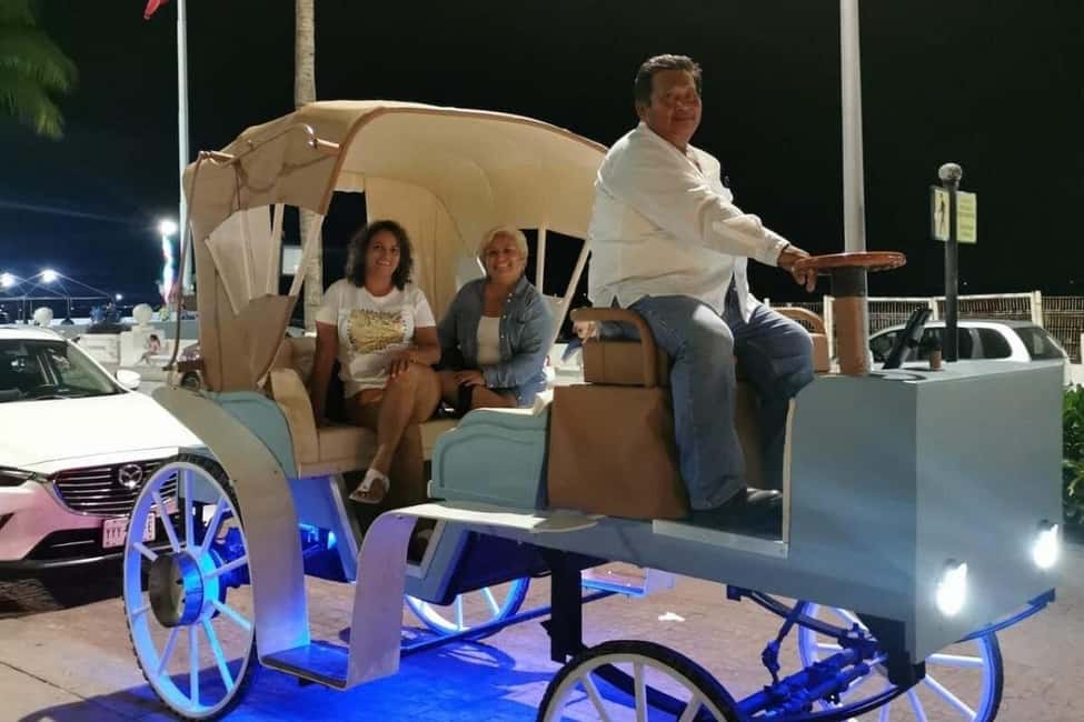 Cozumel: Electric Carriage Tour - Who Should Consider This Tour?