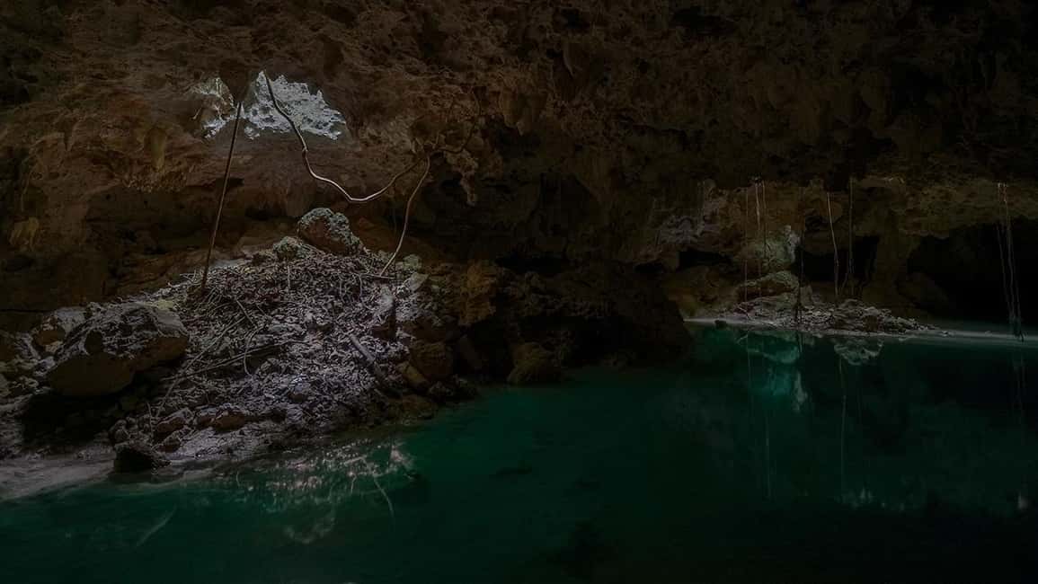From Playa del Carmen or Tulum: Rio Sagrado Experience - Swimming, Meditation, and Reflection