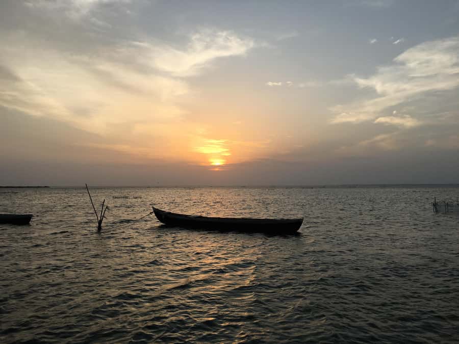 Sri Lanka: 10-Day Guided Tour with Customized tour - Whale Watching in Mirissa