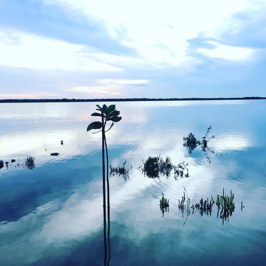 Sri Lanka: 10-Day Guided Tour with Customized tour - Good To Know