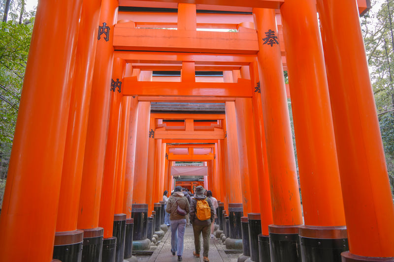 Kyoto: Nijo, Bamboo Grove, Golden Pavilion & Fushimi Inari Bus Tour