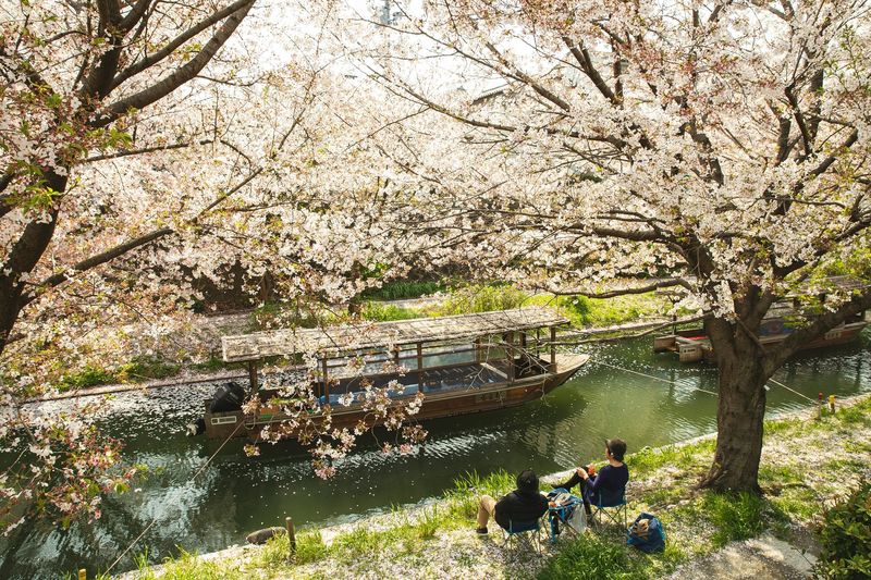 Fushimi Kyoto Tour with Sake Tasting & Canal Boat Ride - Ending at Fushimi Yume Hyakushu Café