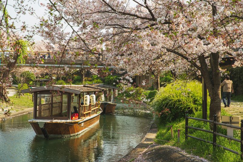 Fushimi Kyoto Tour with Sake Tasting & Canal Boat Ride - A quieter Kyoto, with sake at its center