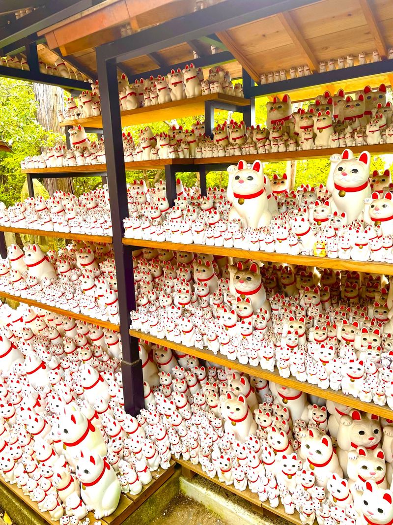 Tokyo Lucky Cat Temple & Harajuku Cat Cafe Half-Day Tour