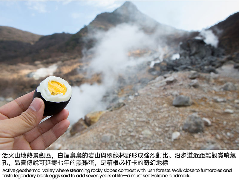 Mount Fuji/Hakone/Kamakura Day Trip: Classic Mountain Lake Secrets ...