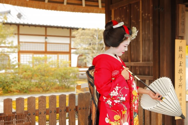 Kyoto Geisha Districts Half-Day Private Cultural Tour - A walk through districts with distinct roles
