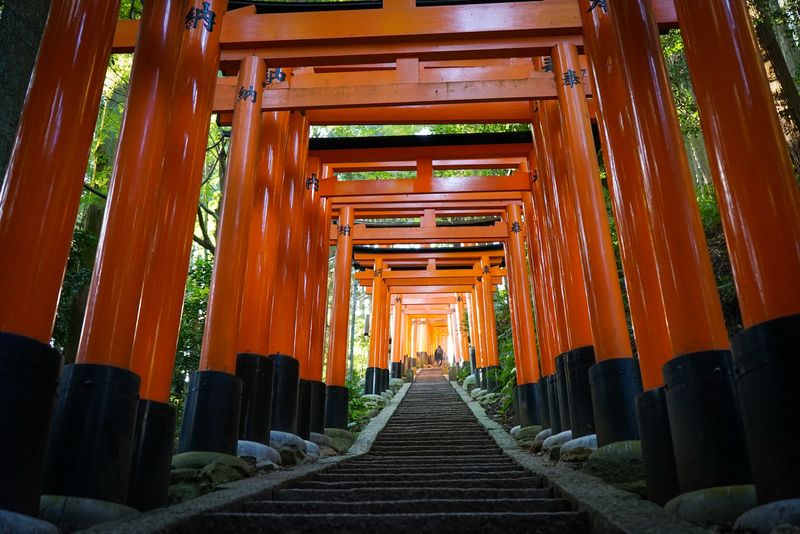 Fushimi Inari Hidden Hiking Tour: Escape the Crowds - Meeting at Tofukuji Station