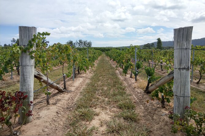 Port Macquarie Wine and Beer, Hastings Tasting Trail Tour - The Sum Up