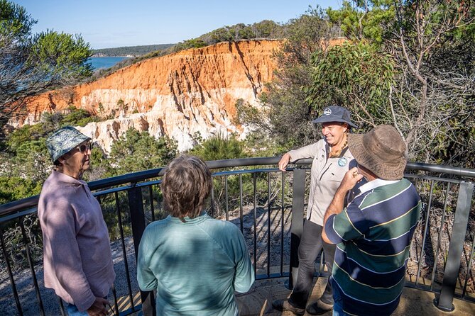 Tour from Eden to Merimbula Wetlands Wildlife and Coastline - Panboola Wetlands: Restoring and Revealing Natural Diversity