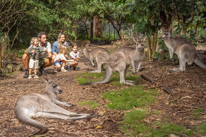 Tour from Eden to Merimbula Wetlands Wildlife and Coastline - Exploring the Full Day in Just Five Hours