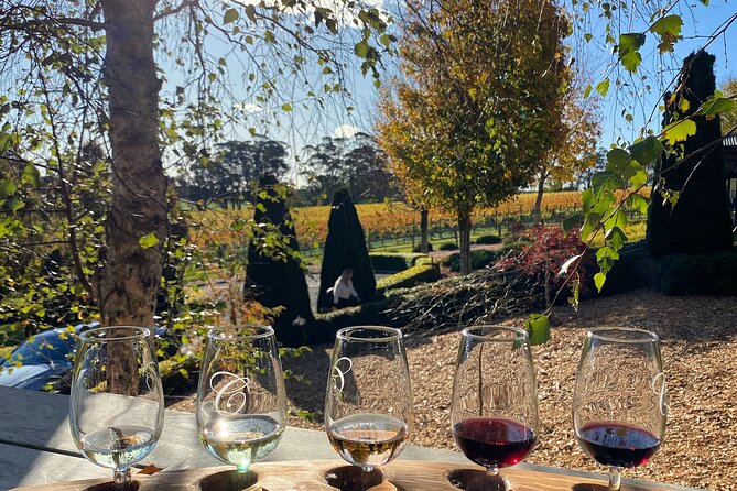 Southern Highlands Full Day Wine Tour Sydney Pick Up - Key Points