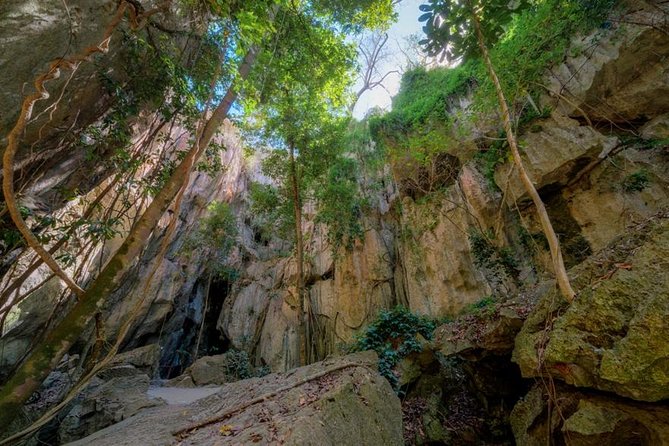 Capricorn Caves Cathedral Cave Tour - The Tour Itself: What to Expect