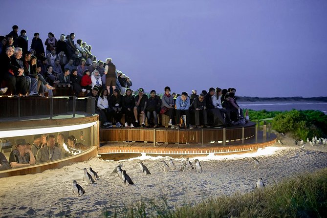 Experience a Day at Tahbilk - Who Should Consider This Tour?