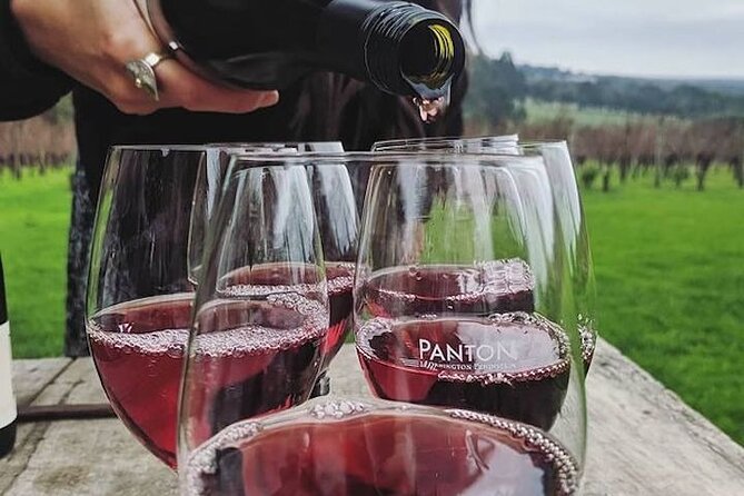 Private Wine Tasting Tour in Mornington Peninsula with Lunch - The Value Proposition: Is It Worth It?