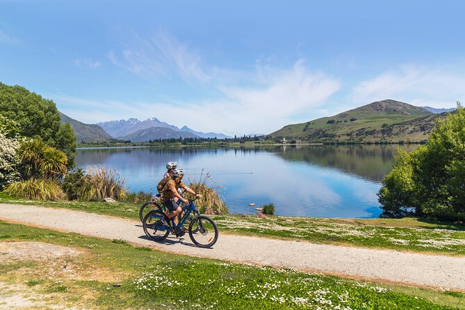 Dunedin Private Tour: City Sights & Otago Peninsula - Who Should Consider This Tour?