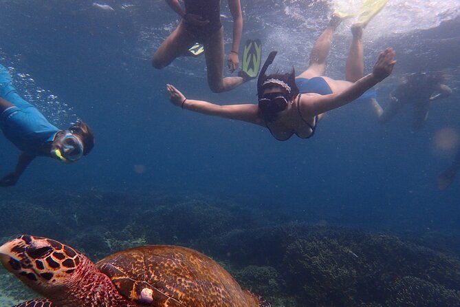 Pigeon Island Snorkeling Tour From Uppuveli Beach - FAQ