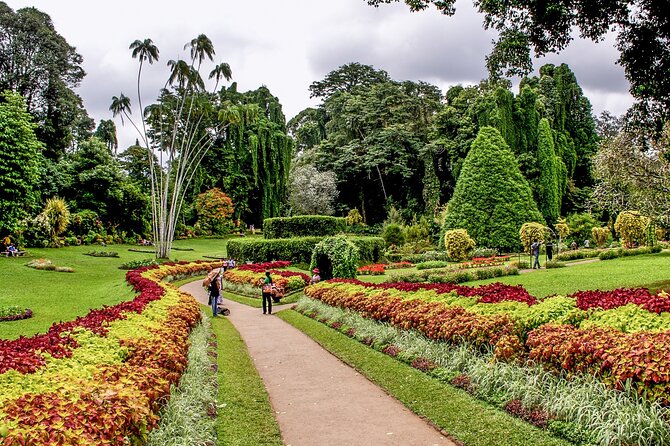 Kandy Private Day Tour from Trincomalee - Experience Overview