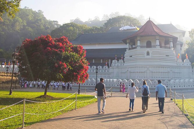 Kandy Private Day Tour from Trincomalee - The Sum Up